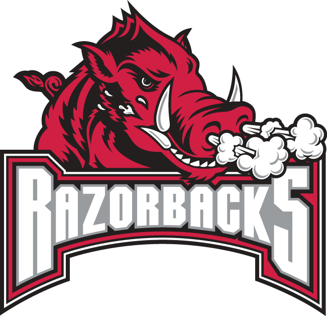 Arkansas Razorbacks 2001-2008 Secondary Logo t shirts DIY iron ons v2